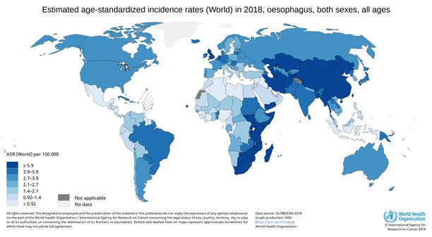 Map graphic displaying the incidence rates of oesophageal cancer across the world