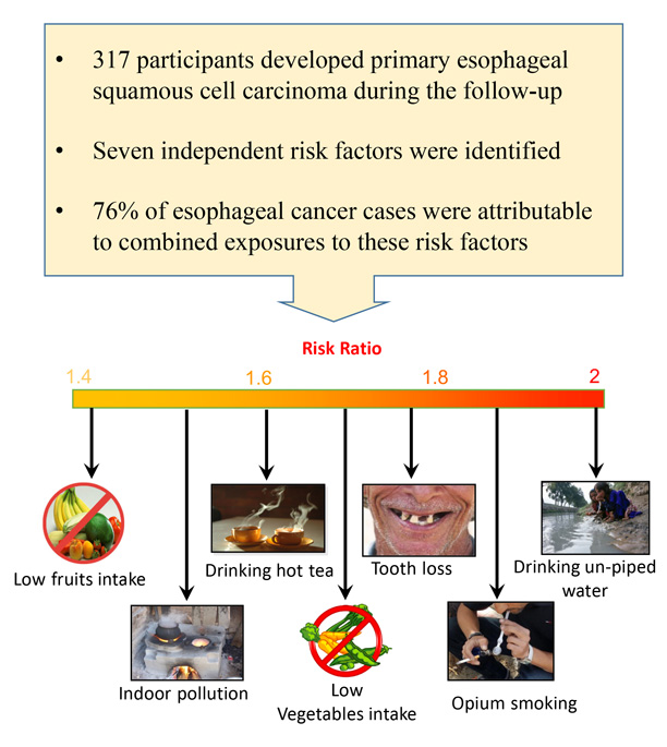 Graphic detailing identified oesophageal cancer risk factors