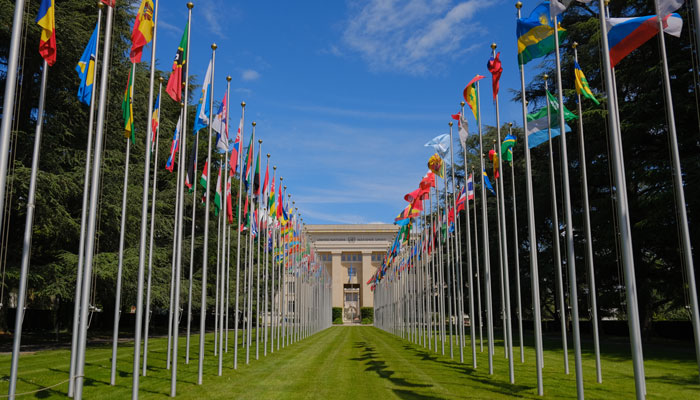 National flags on display outside the World Health Assembly