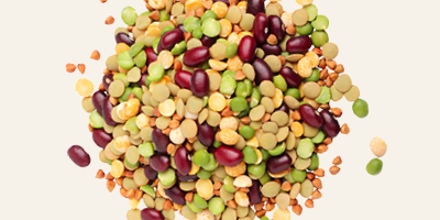A portion of pulses