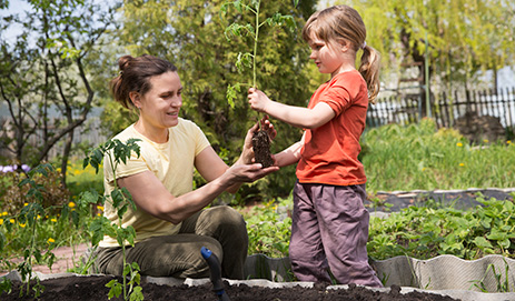 A mother and daughter putting a plant in the ground