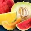 Melons