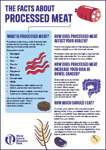 An infographic titled The Facts About Processed Meat explains what processed meat is, its health risks, how it links to bowel cancer causes, and recommended intake, with illustrations of meat, intestines, and cereals throughout.