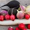 Radishes