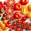 Tomatoes
