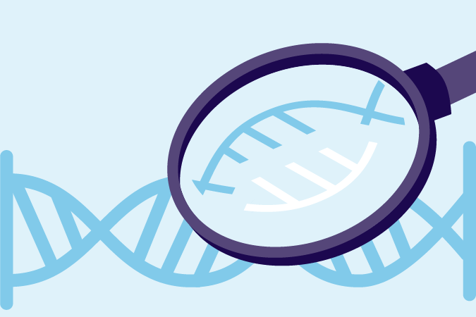 Genetics