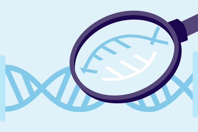 Illustration of DNA