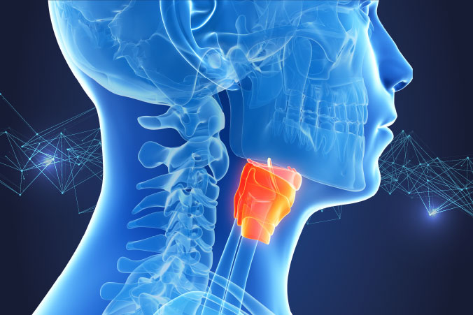 Anatomical graphic of mouth and oral cancer