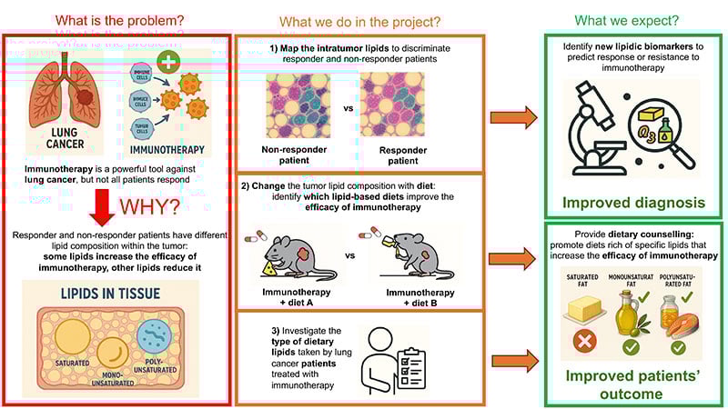 Infographic explaining a project on lung cancer immunotherapy: It shows how lipid differences in tissue affect treatment response, project steps to study lipids, and expected outcomes of improved diagnosis and patient outcomes.