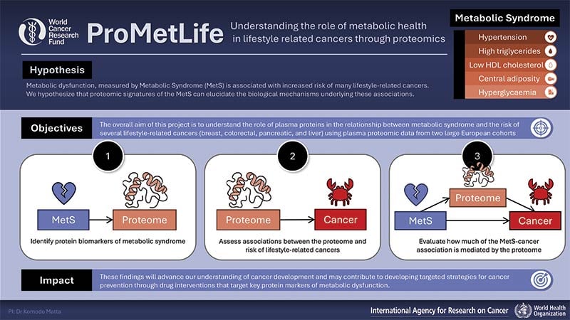 An infographic explains the ProMetLife project, which studies metabolic syndrome and cancer using proteomics, with objectives, hypothesis, and illustrated icons linking metabolism, proteins, and cancer risk.