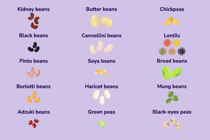 An illustrated chart showing twelve types of beans and pulses labelled with their names, including kidney beans, butter beans, chickpeas, black beans, lentils, pinto beans, and others, on a light purple background.