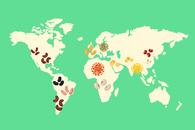 A world map with illustrations of various beans and pulses placed on different continents, representing their regions of origin or popularity, on a green background.