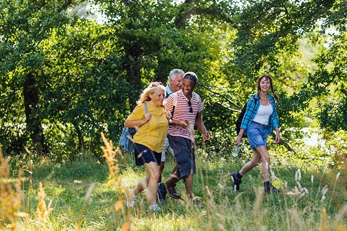 Four adults walk together through a grassy, sunlit forest. They appear happy, wearing casual clothes and rucksacks, enjoying a ramble on a bright day surrounded by green trees.